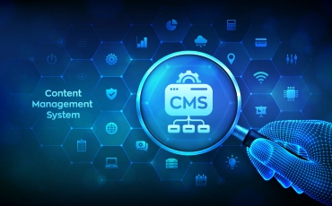 Custom-CMS-Development-5